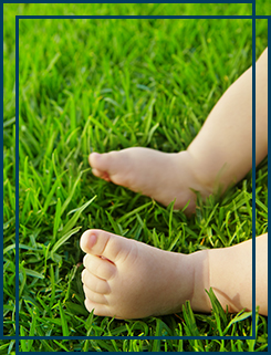 Baby Feet